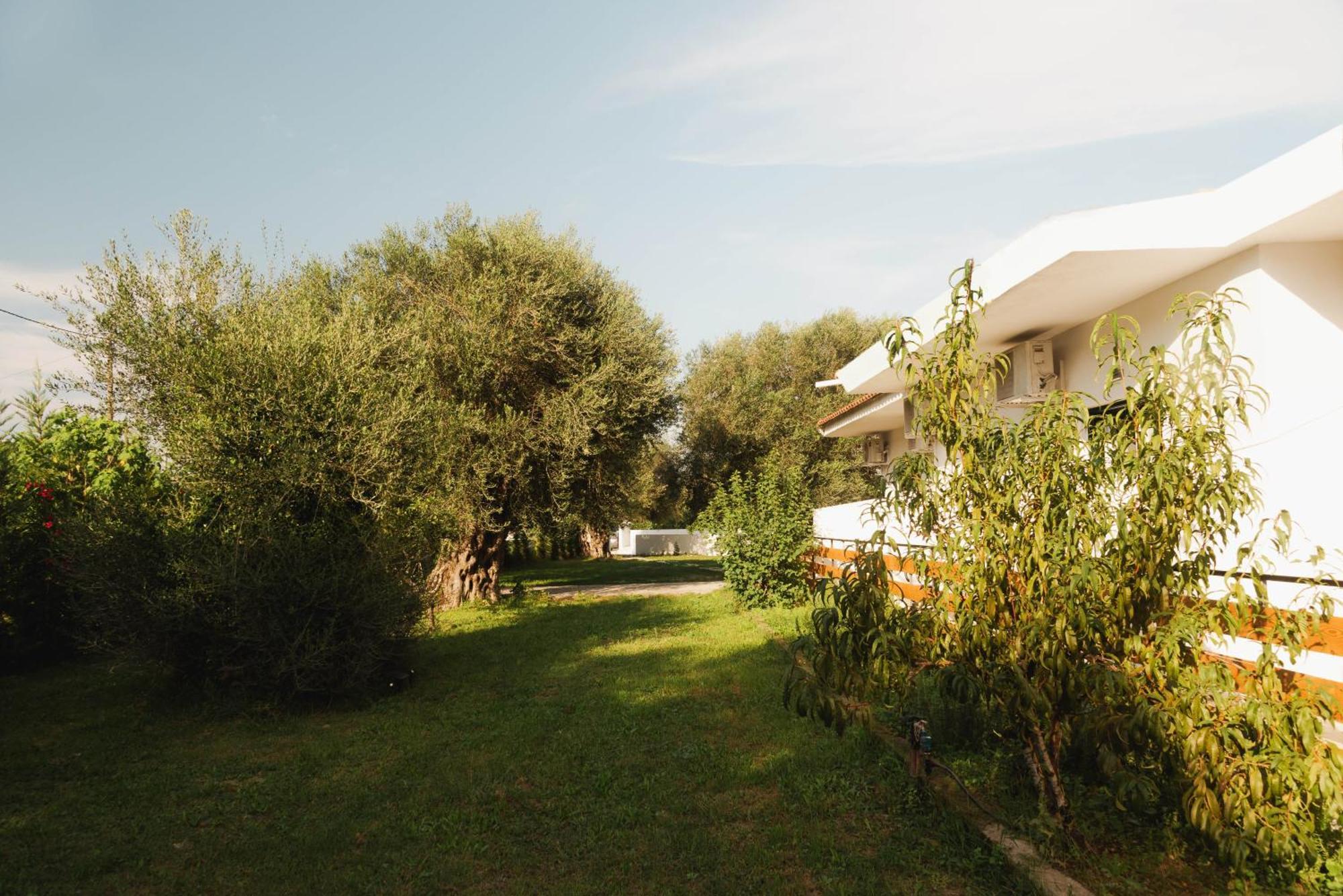 Olive Grove Suites Boutique Hotel モライティカ エクステリア 写真
