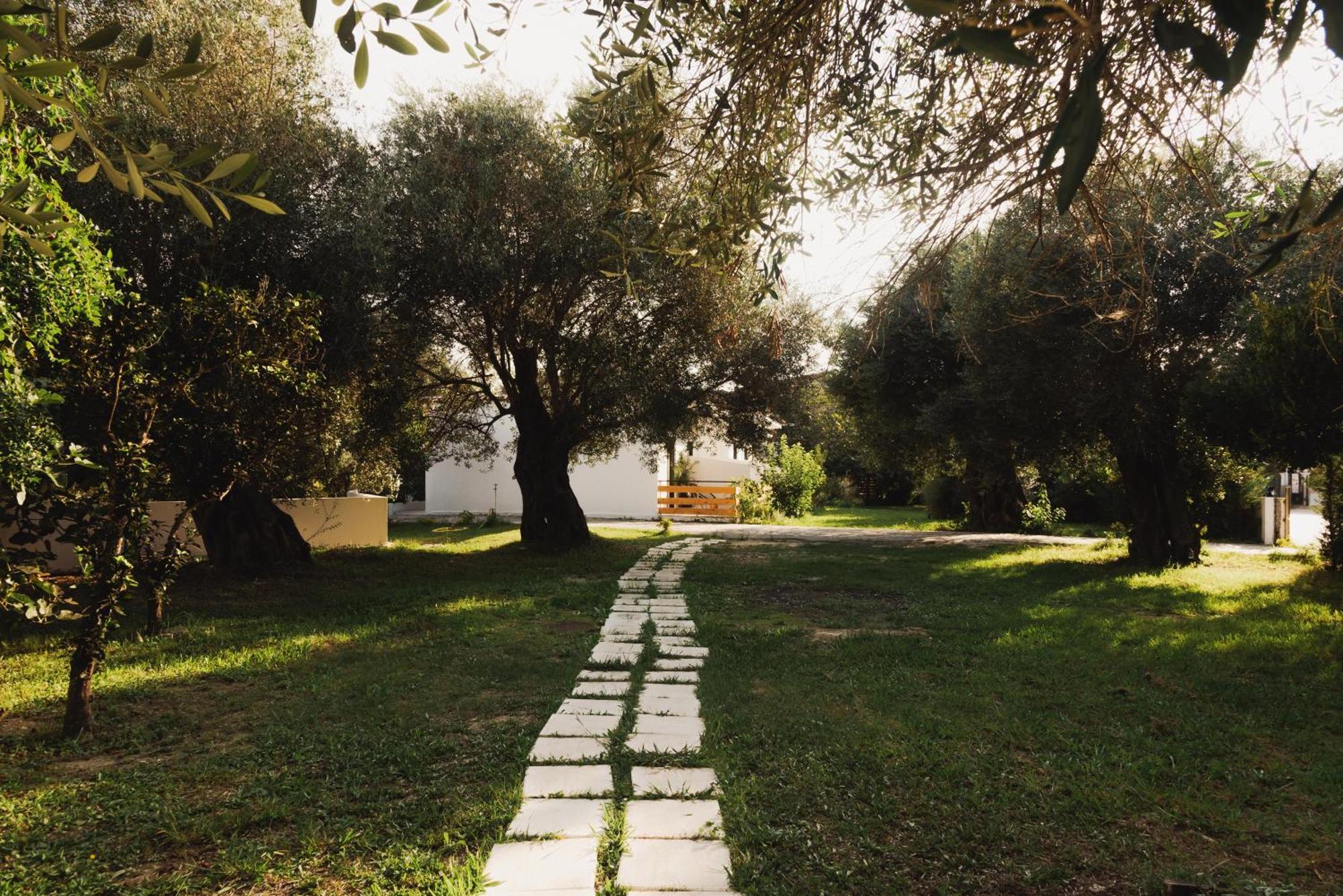 Olive Grove Suites Boutique Hotel モライティカ エクステリア 写真