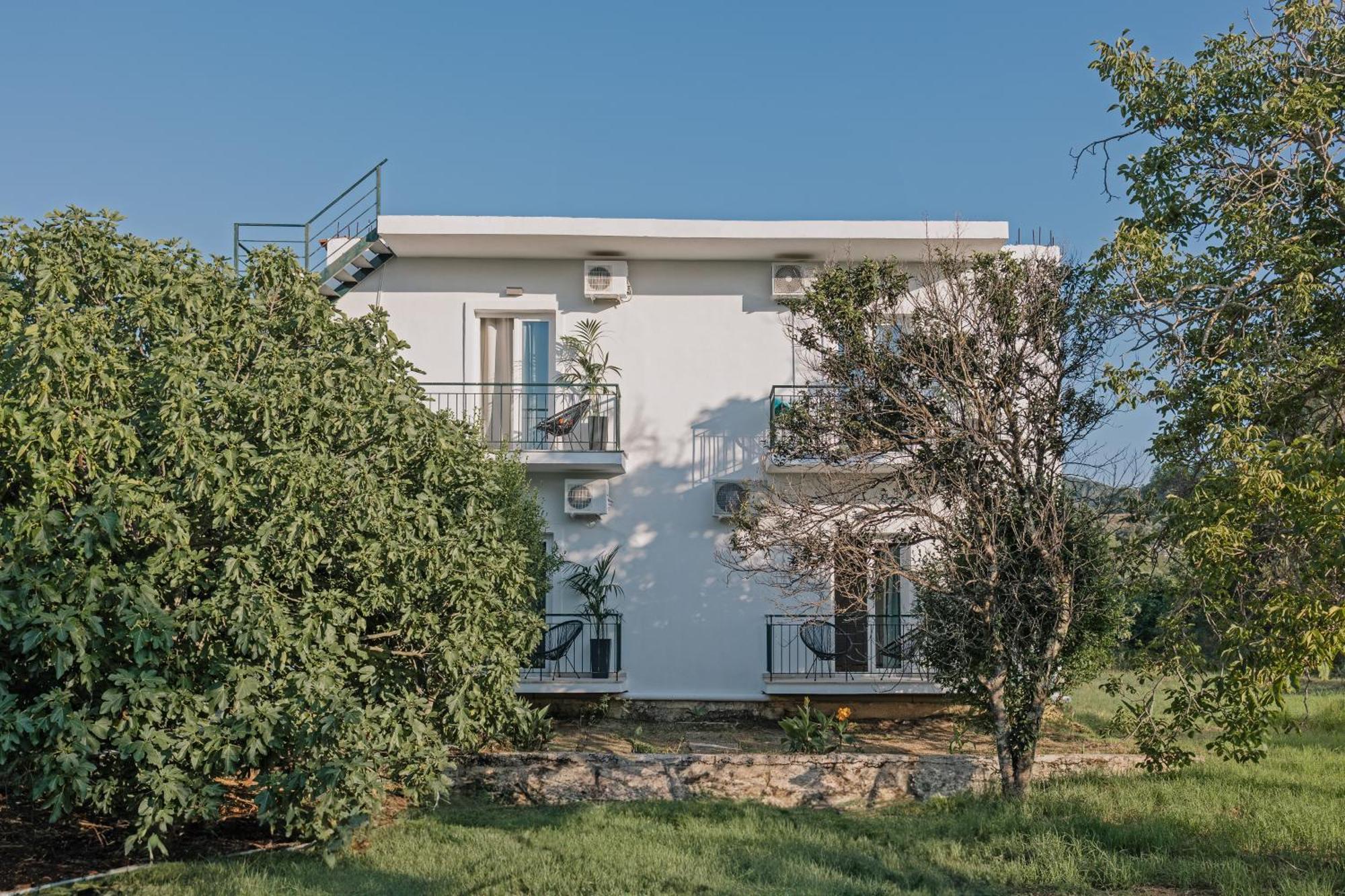 Olive Grove Suites Boutique Hotel モライティカ エクステリア 写真